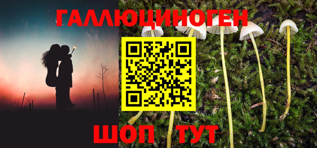 Галлюциногенные грибы Magic Shrooms  Вход с VPN  Волоколамск 